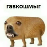 Иконка Гавкошмыг (Gavkoshmig) Totem of Undying