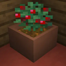 Иконка Botany Pots