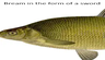 Иконка Bream in the form of a sword/Лещь виде меча