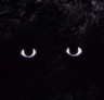 Иконка Inside the Darkness - Horror