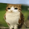 Иконка Meowl Totem of Undying