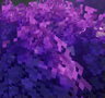 Иконка MxSxC1 Purple Foliage