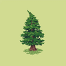 Иконка PineShaders — шейдер для Minecraft