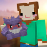 Иконка Pokeblocks
