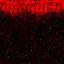 Иконка The Severed Faith (Horror)