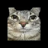 Иконка Totem Cat Meme