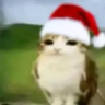 Иконка Xmas meowl Totem of Undying