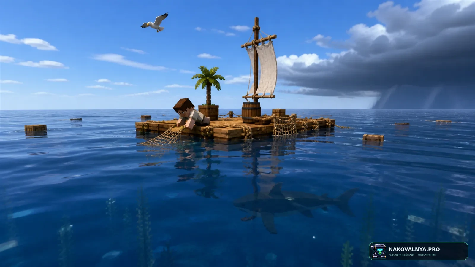Изображение к проекту 100 days on a Raft