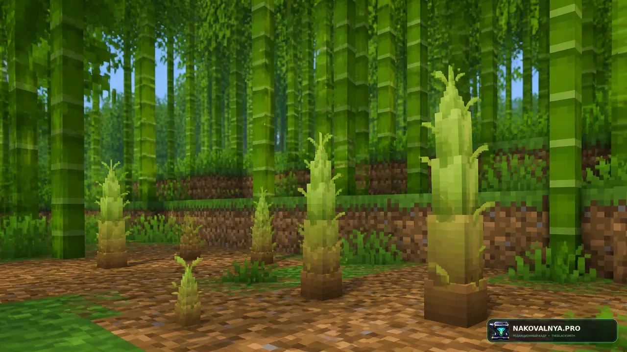 Изображение к проекту 3D Bamboo Shoots