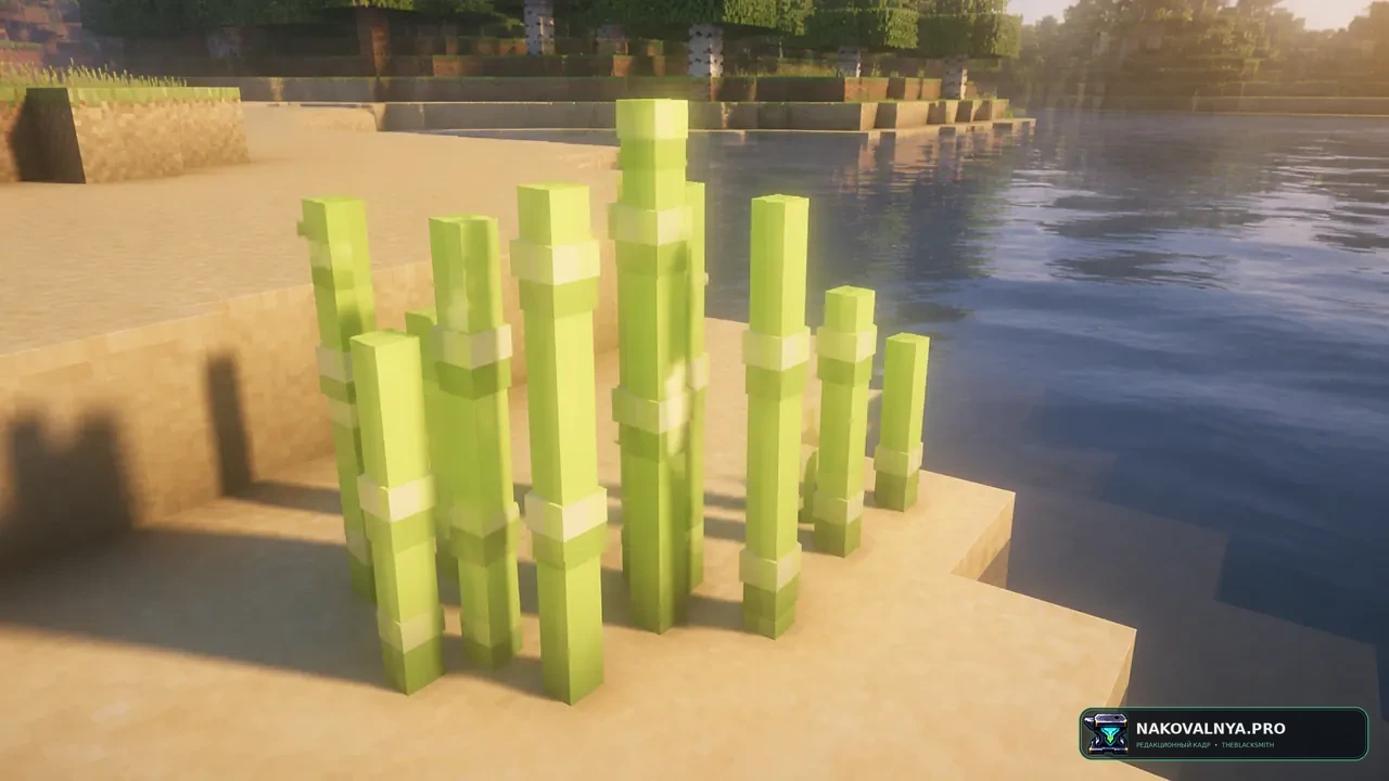 3D Sugar Cane: объёмный сахарный тростник — редакционная иллюстрация 2 из 3