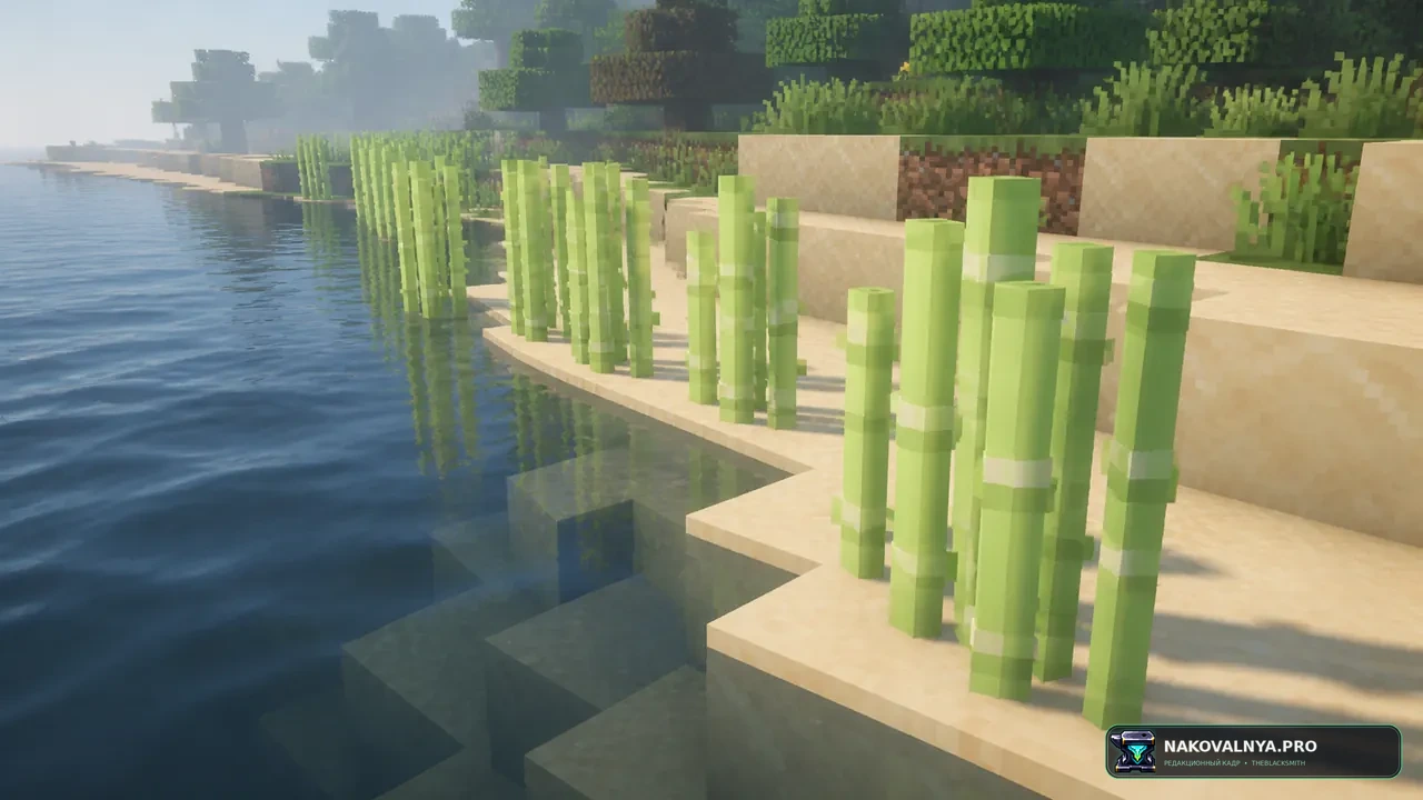 Изображение к проекту 3D Sugar Cane