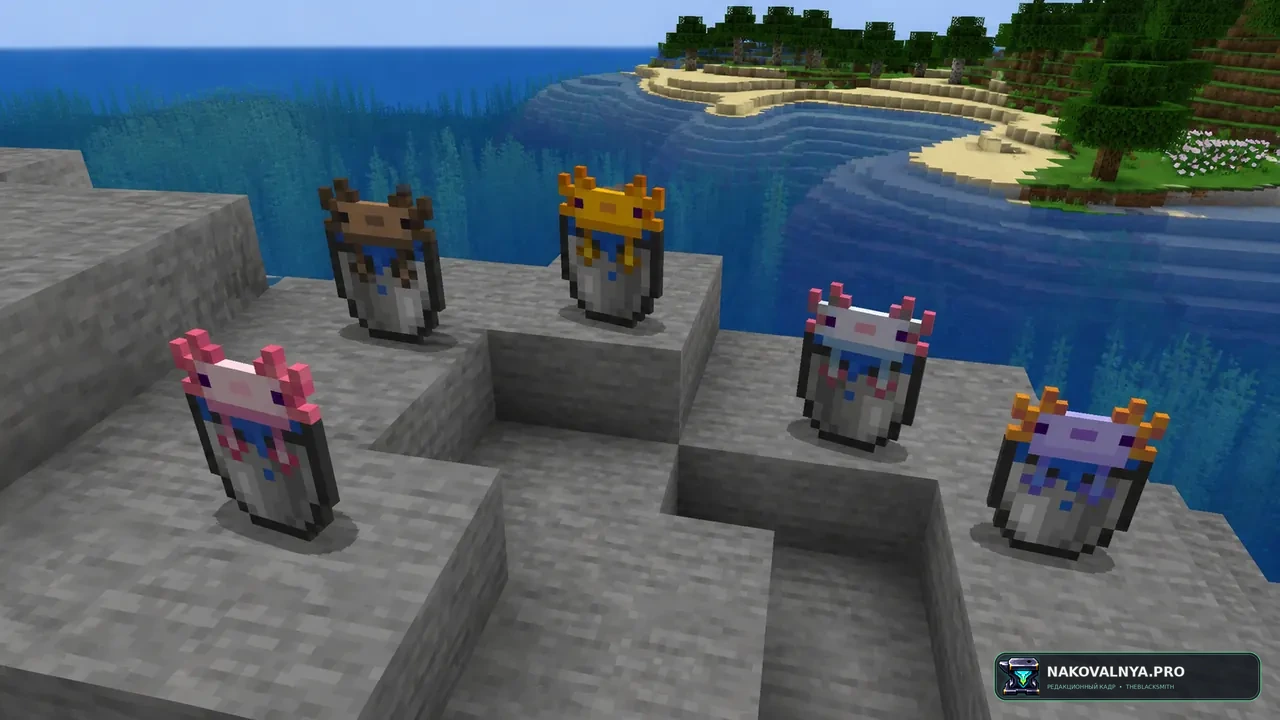 Изображение к проекту Axolotl Bucket Variants