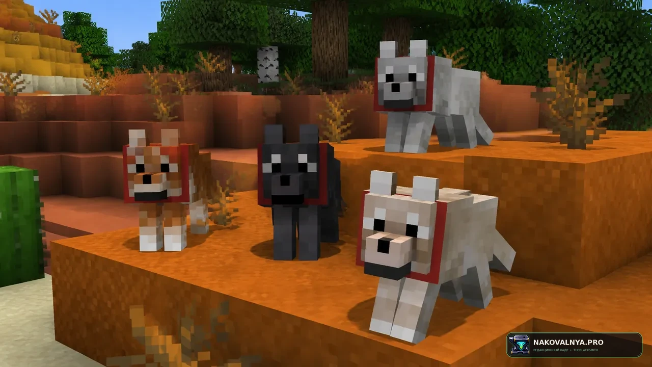 Backported Wolves: разнообразные варианты волков — редакционная иллюстрация 3 из 3