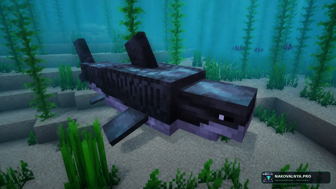 Ben's Sharks: акул и морских существ — редакционная иллюстрация 3 из 3