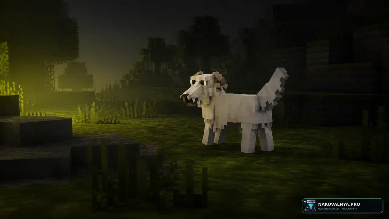 Изображение к проекту Better Dogs
