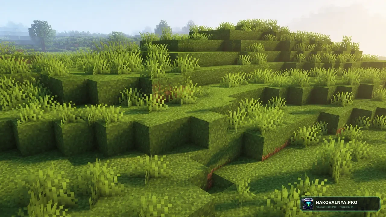 Better Grass: траву с зелёными боковинами — редакционная иллюстрация 2 из 3