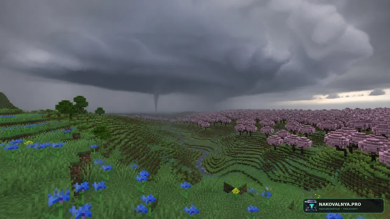 Изображение к проекту Beyond The Weather