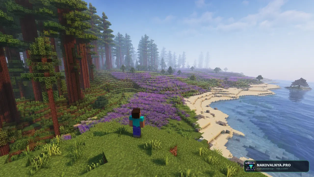 Изображение к проекту Biomes O' Plenty