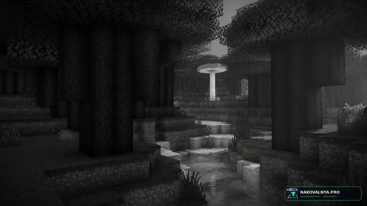 Black And White Shaders: чёрно-белое кино — редакционная иллюстрация 2 из 3