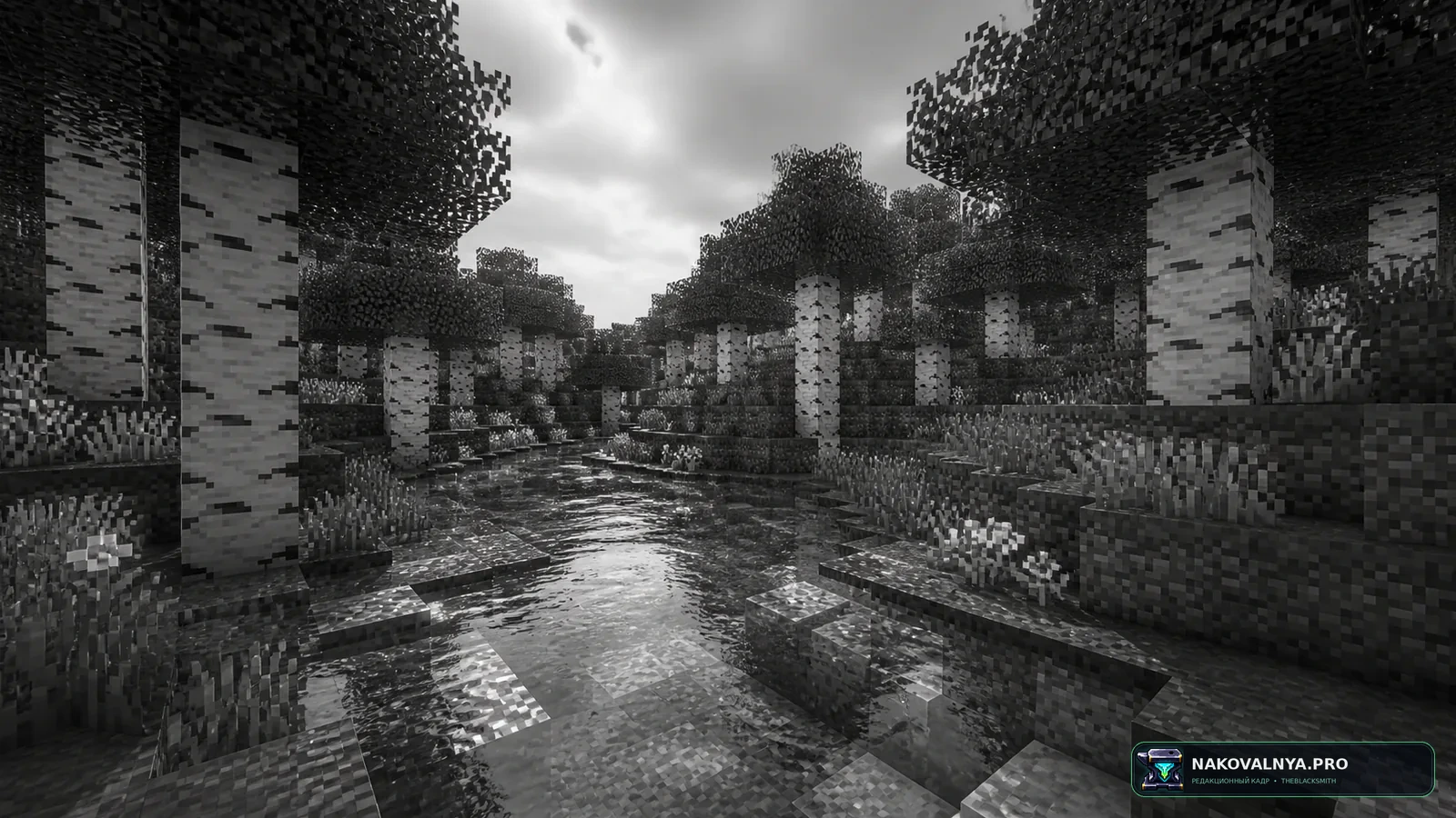 Изображение к проекту Black & White