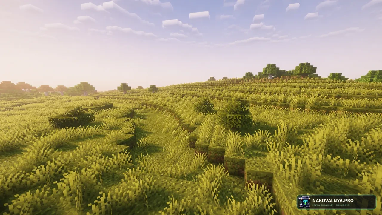 Изображение к проекту BlakSuit's Bushy Grass