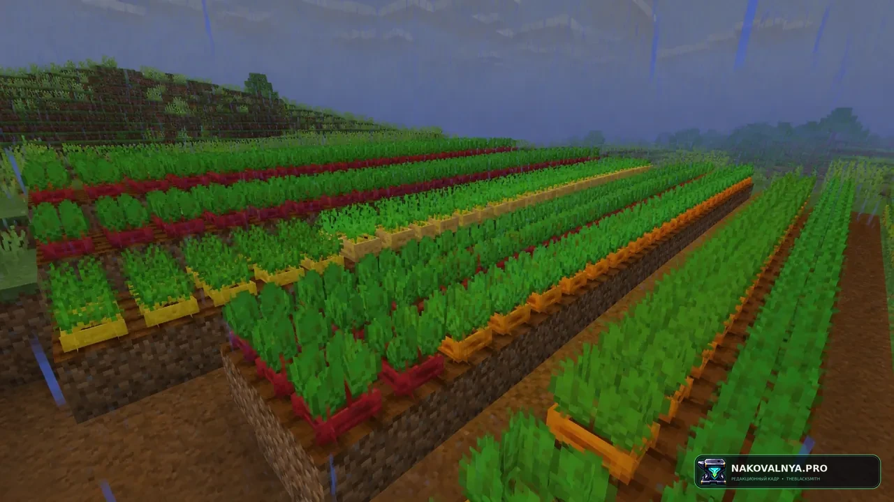 Изображение к проекту Bontiful Crops