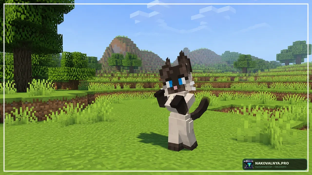 Изображение к проекту Cat Girls