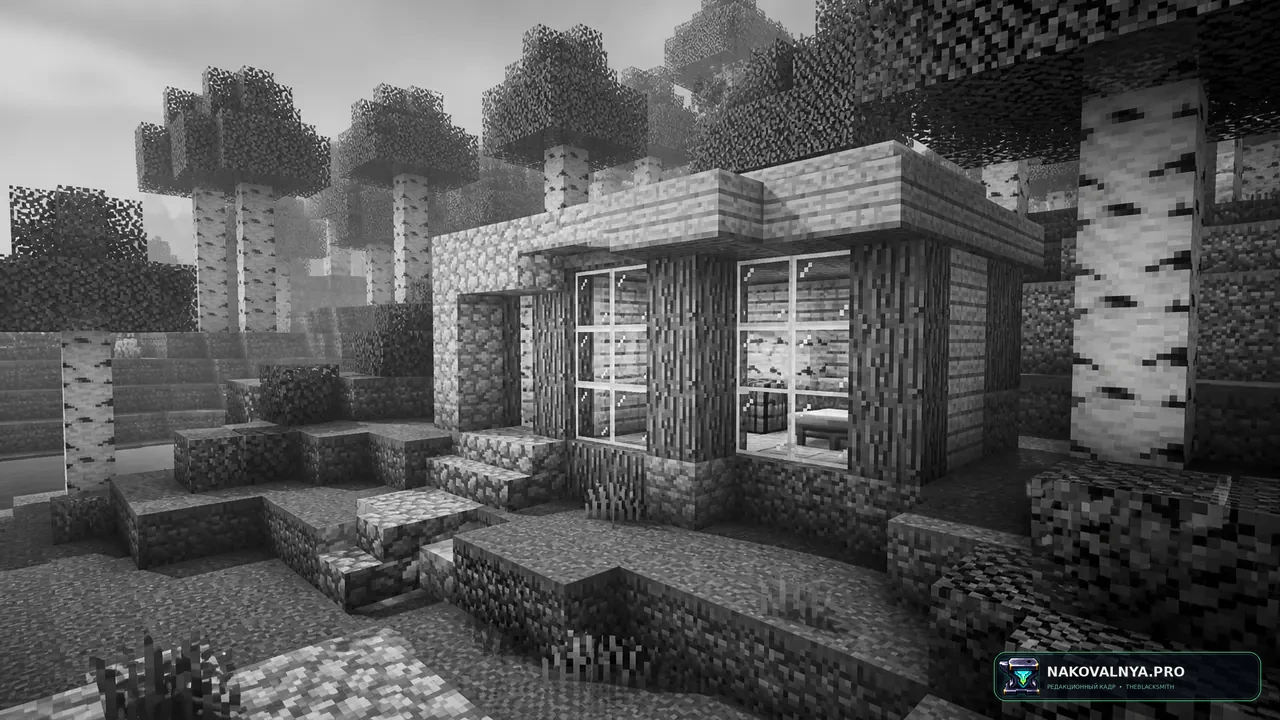 Изображение к проекту Colorless (Black and White)