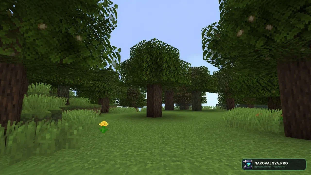 Изображение к проекту Create: Garnished
