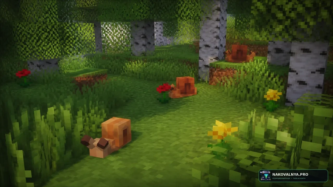 Изображение к проекту Critters and Companions