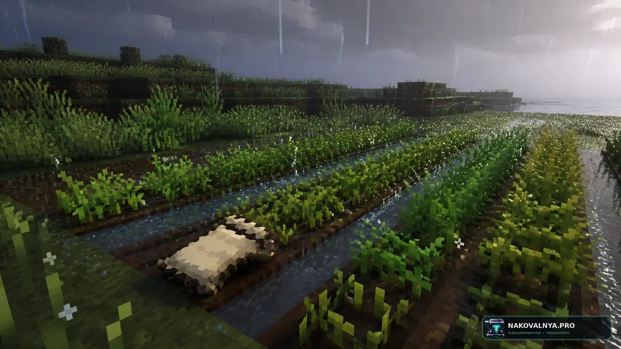Crops Love Rain: ускоренный дождём рост урожая — редакционная иллюстрация 2 из 3