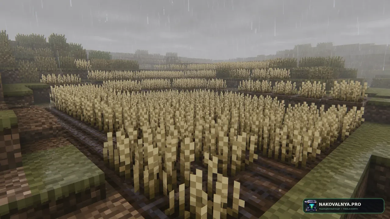 Изображение к проекту Crops Love Rain