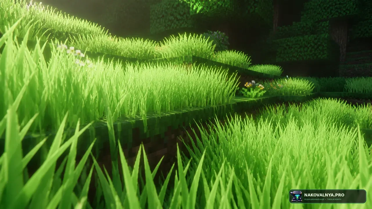 Eclipse - Shader Grass Compat: совместимость шейдерной травы Eclipse — редакционная иллюстрация 3 из 3