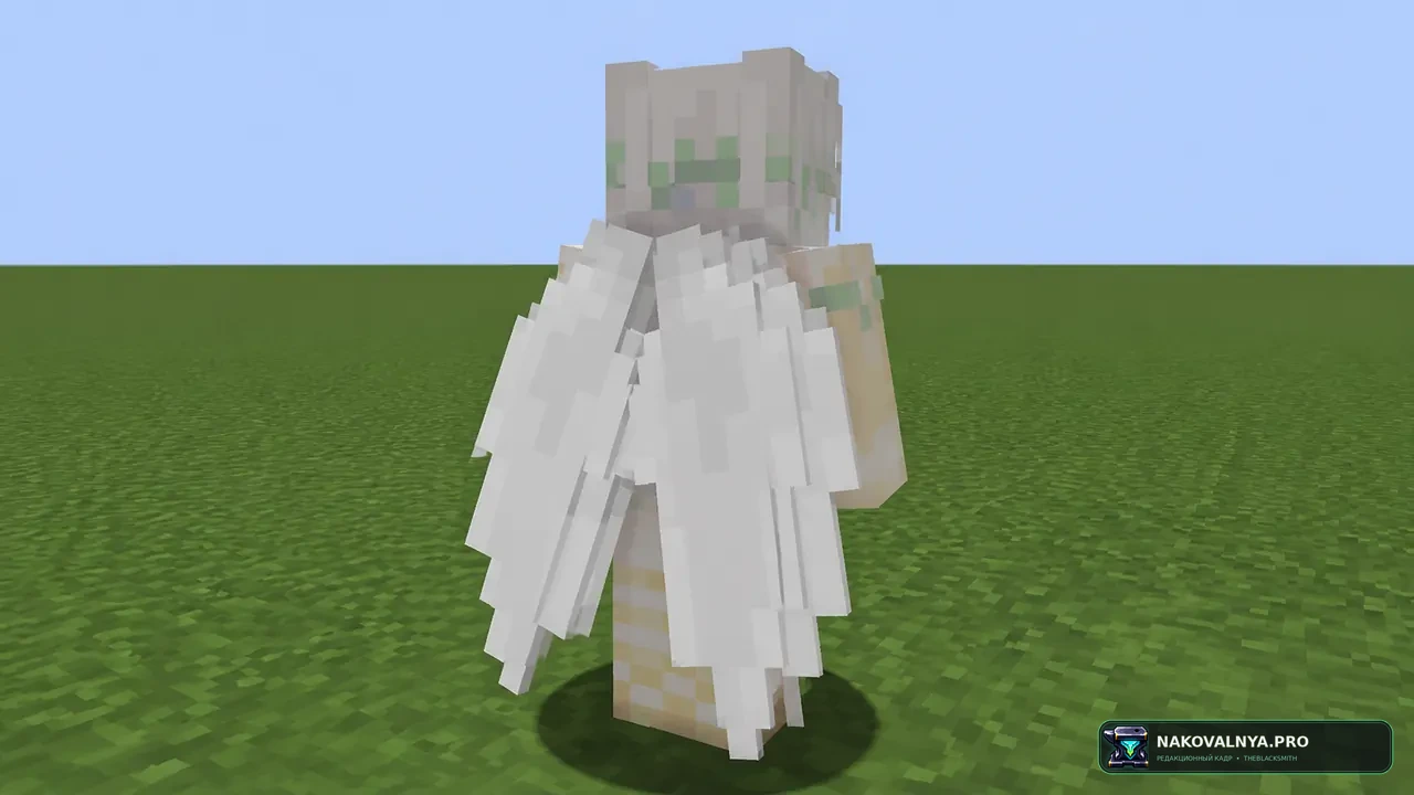 Elytra Fairy Wings: элитры в виде крыльев феи — редакционная иллюстрация 3 из 3