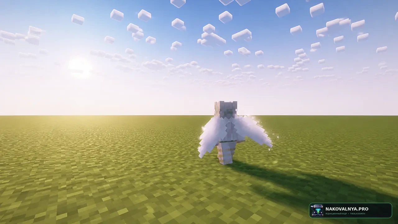 Изображение к проекту Elytra Fairy Wings