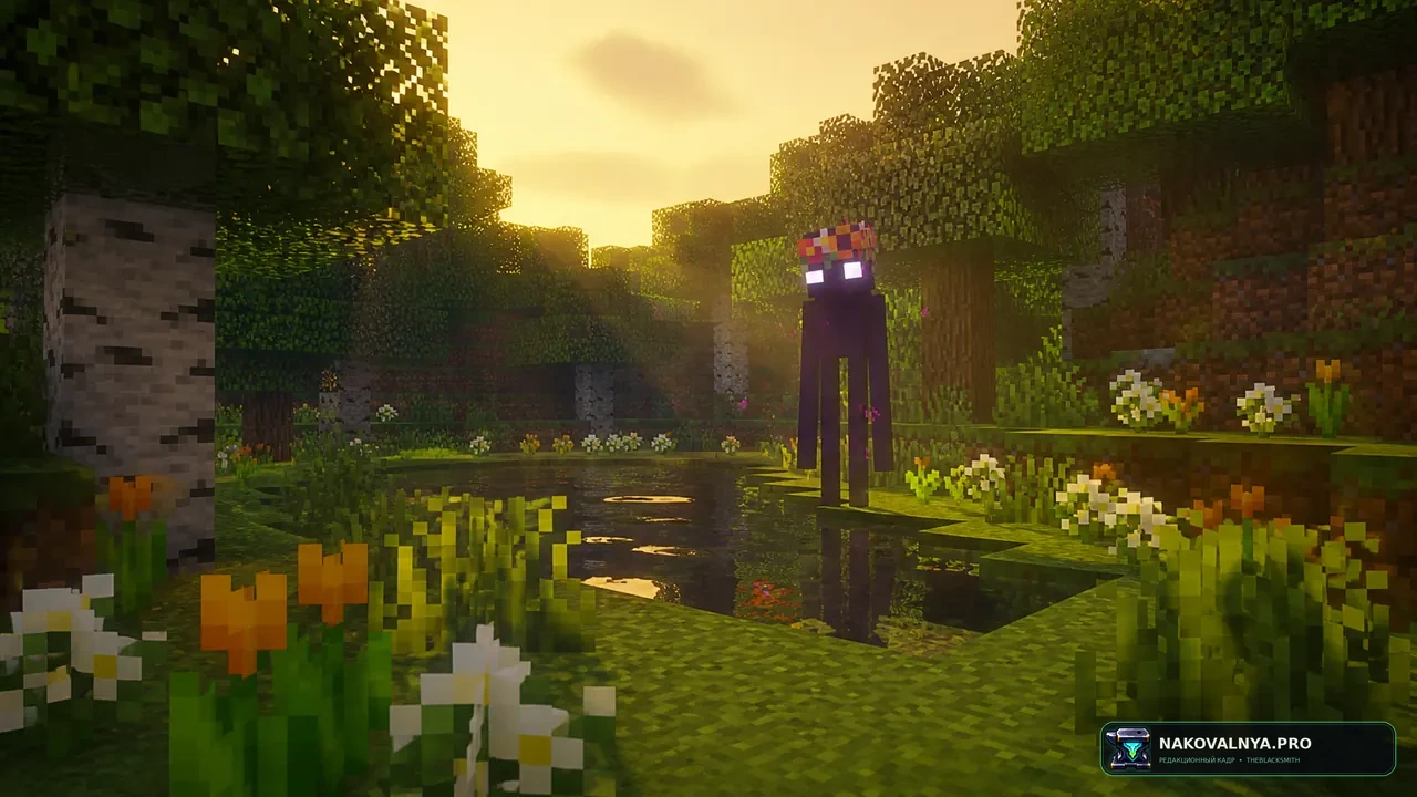 Изображение к проекту Enderman Overhaul