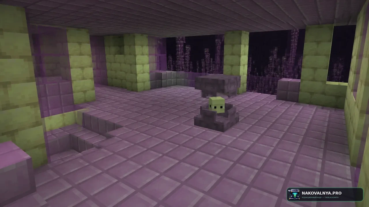 Изображение к проекту Enhanced Shulkers x Fresh Animations