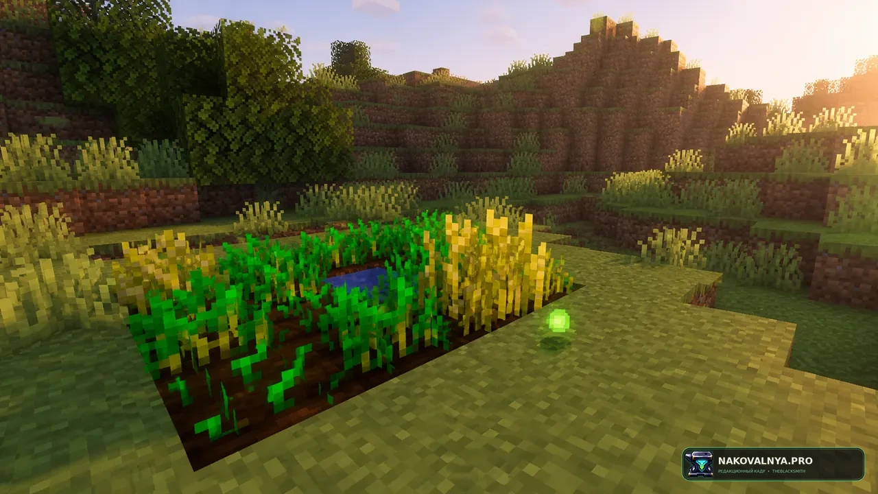 Experienced Crops: опыт за урожай — редакционная иллюстрация 2 из 3
