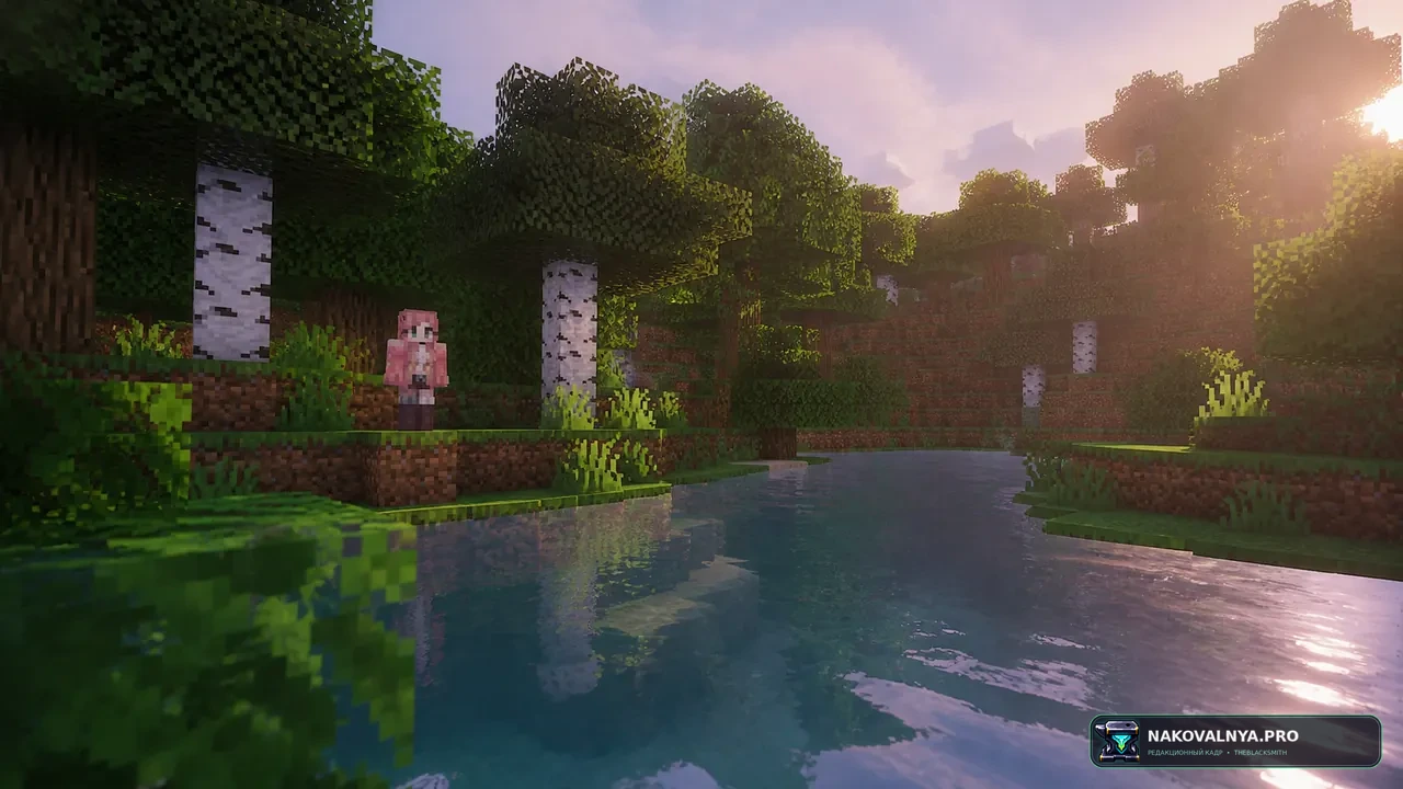 Изображение к проекту Female Gender Mod