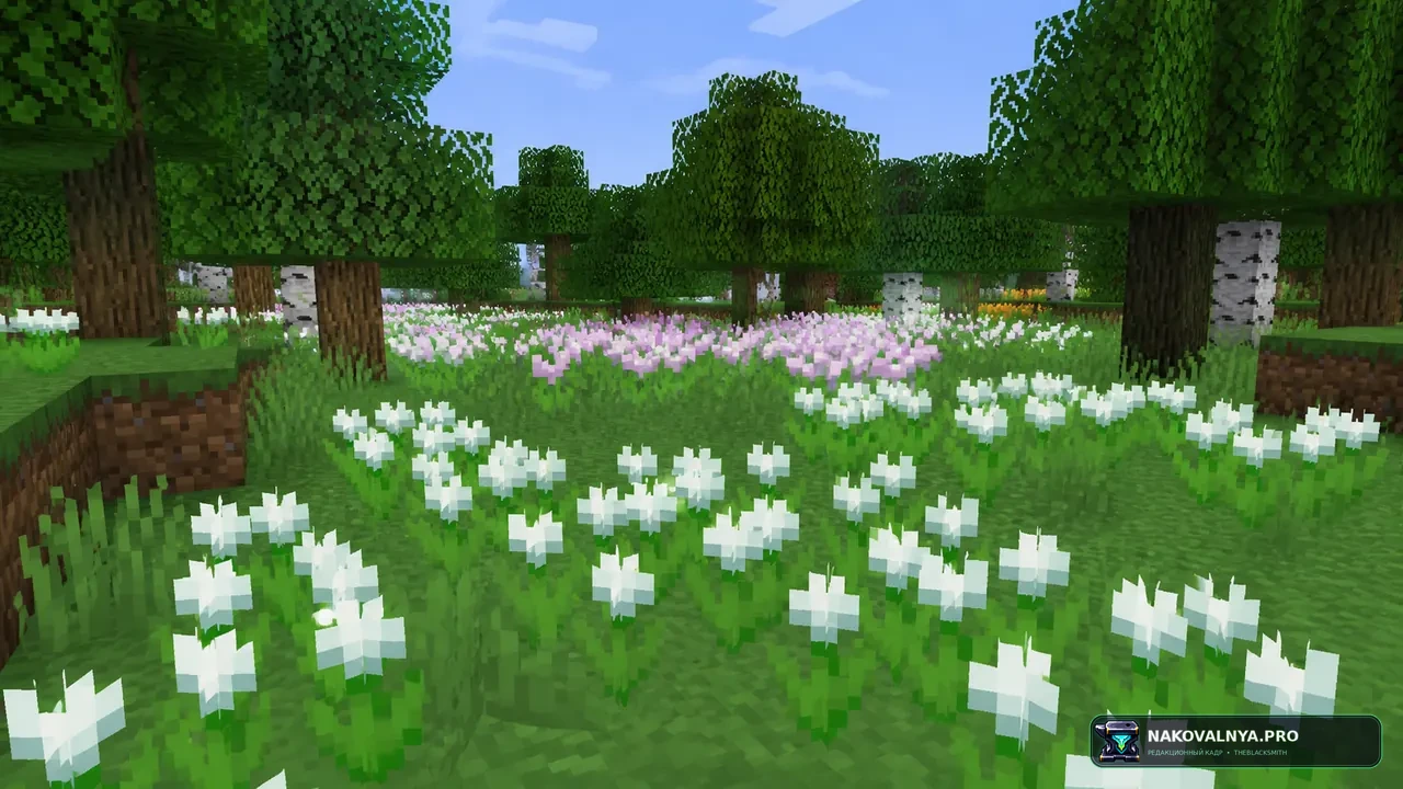 Изображение к проекту Flower Clusters