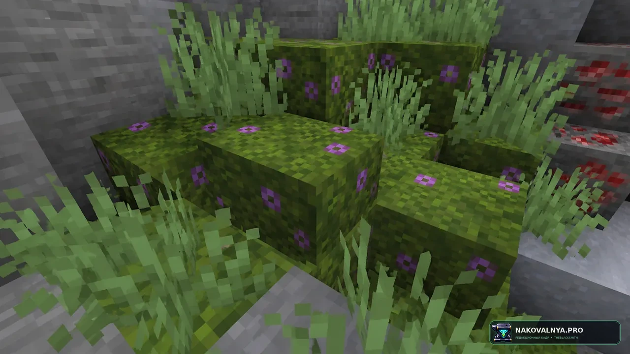 Simple Flowered Moss: цветущий мох — редакционная иллюстрация 3 из 3