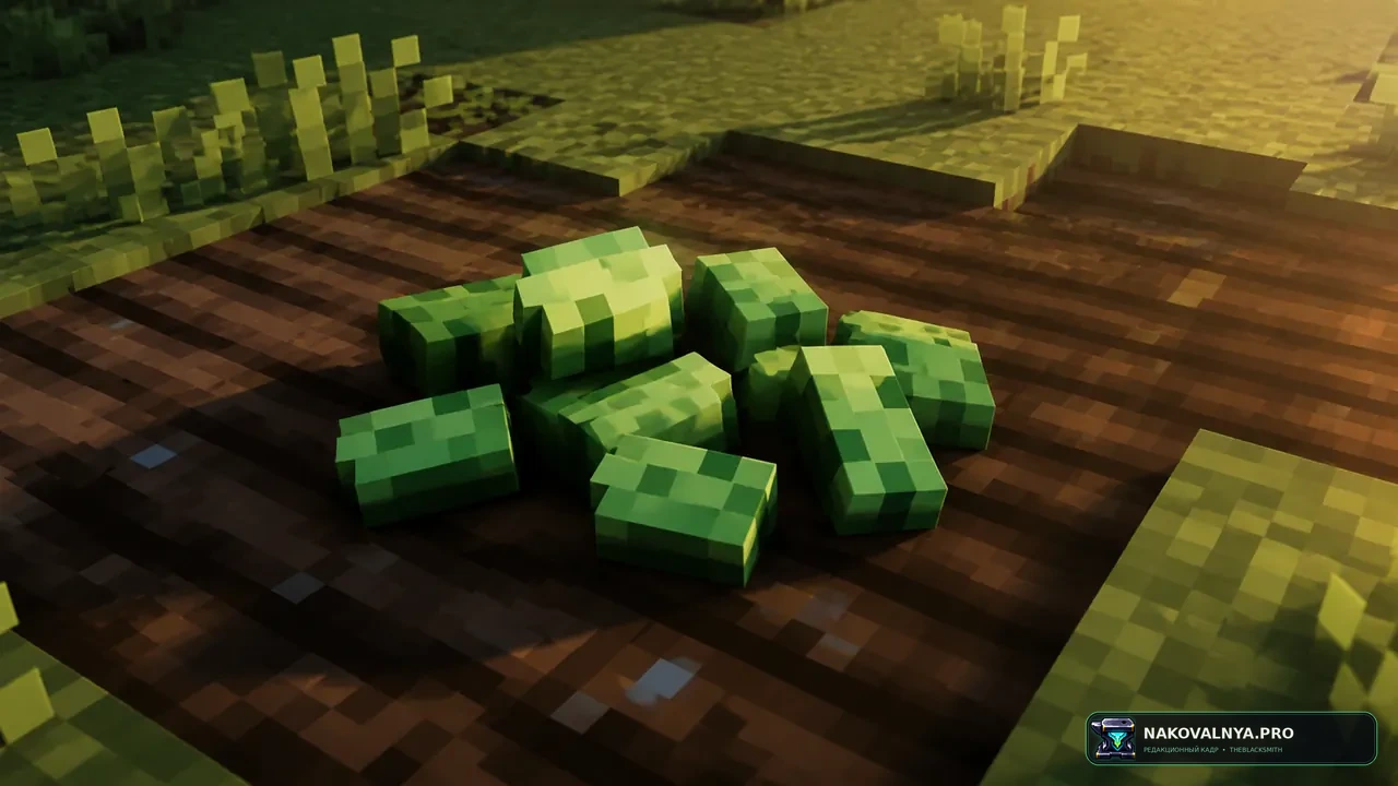 Fresh Seeds: объёмные модели семян — редакционная иллюстрация 2 из 3