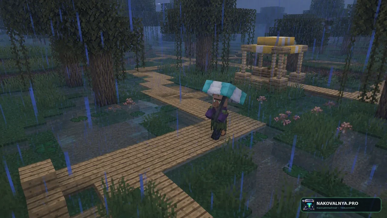 Изображение к проекту Fresh Umbrella Villagers