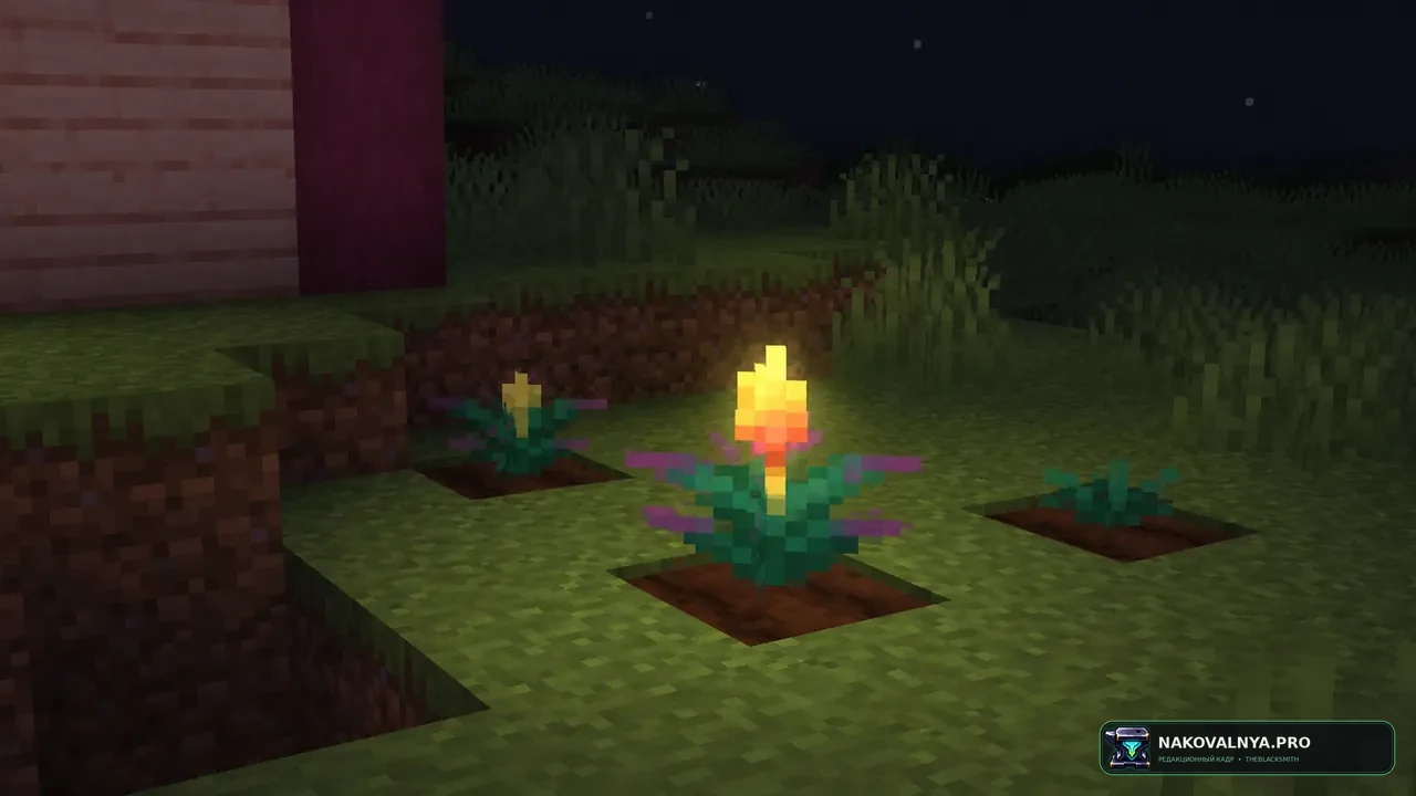 Glowing Torchflower: светящуюся факелоцвет и её ростки — редакционная иллюстрация 3 из 3