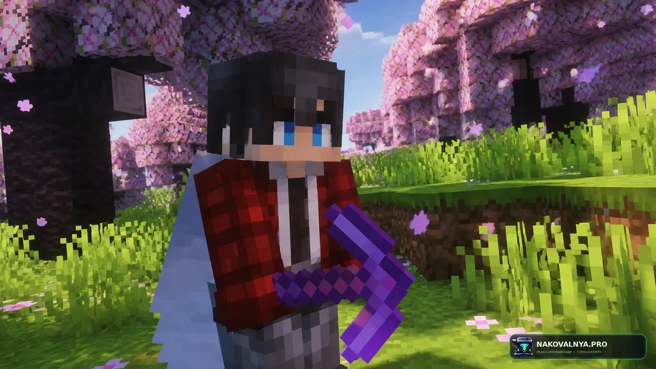 🛡️ Hide Armor - See Player Skins: скрытие надетой брони ради видимого скина — редакционная иллюстрация 3 из 3