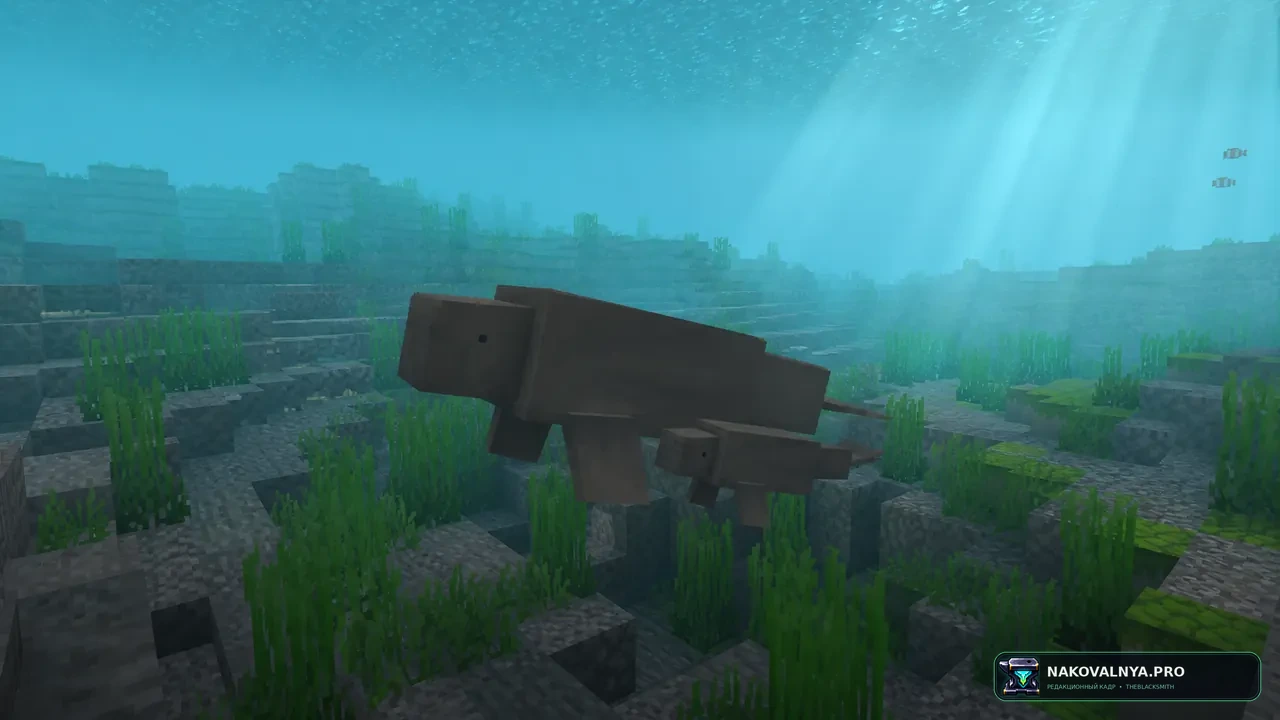 Hybrid Aquatic: богатую подводную фауну и биомы — редакционная иллюстрация 2 из 3