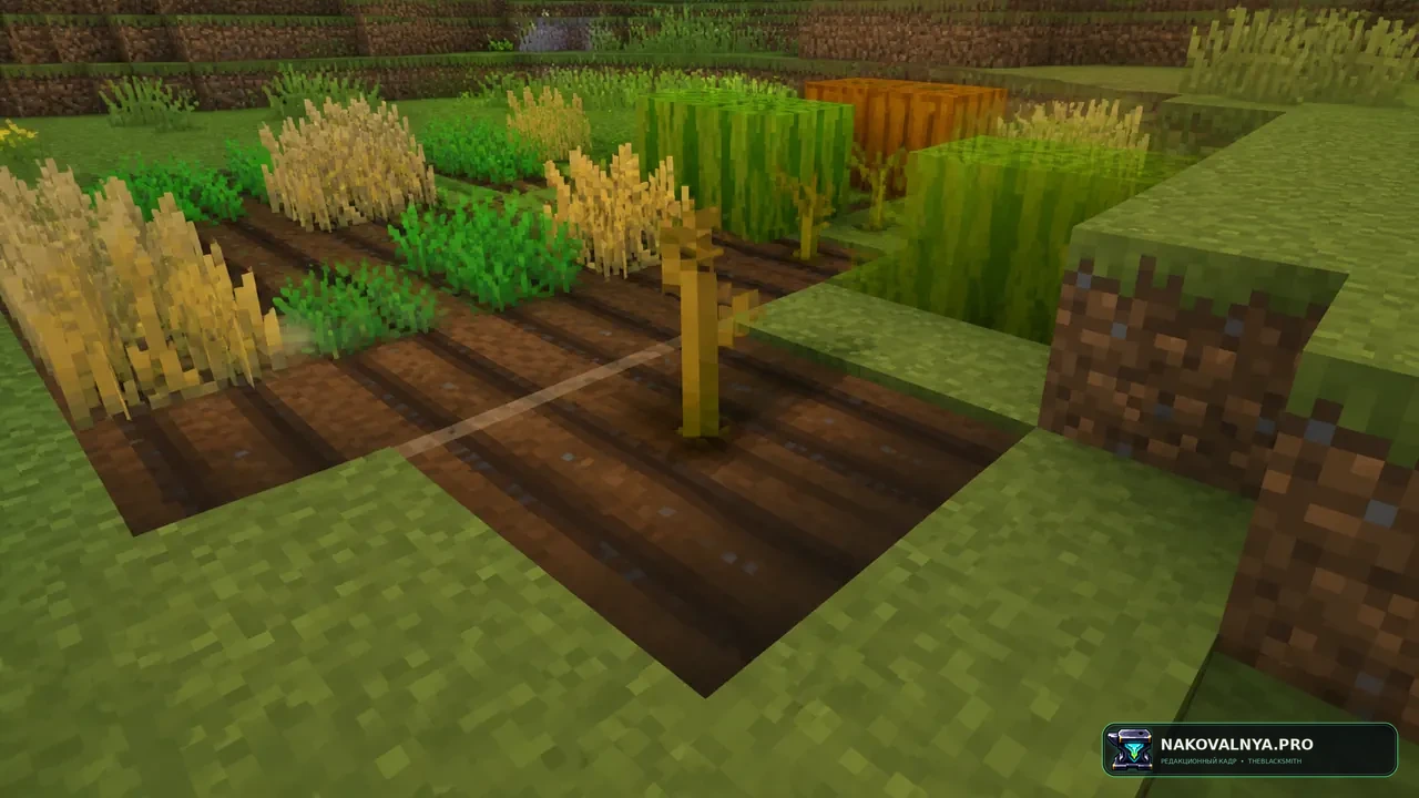 Изображение к проекту Keep My Soil Tilled