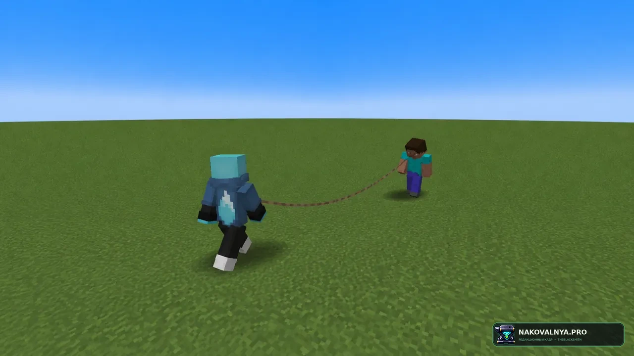 Изображение к проекту Leashable Players