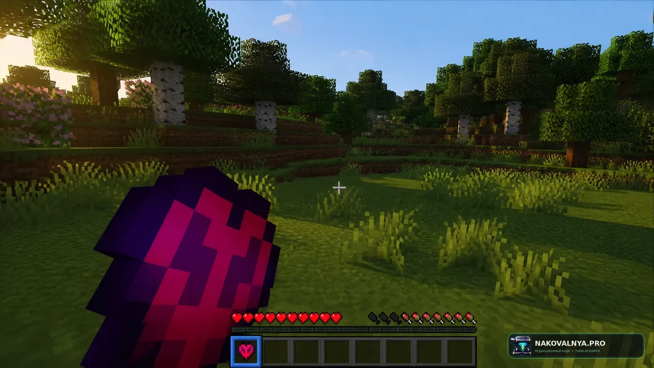 LifeStealZ Resourcepack: оформление предметов мода LifeStealZ — редакционная иллюстрация 2 из 3