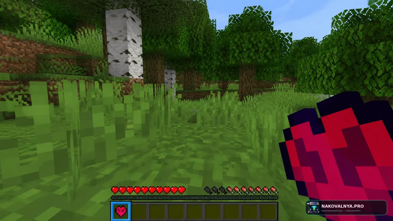 LifeStealZ Resourcepack: оформление предметов мода LifeStealZ — редакционная иллюстрация 3 из 3